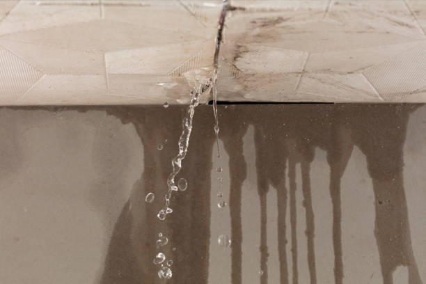 Professional Water Extraction technician working in Stony Point, MI
